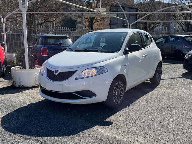 immagine non disponibile