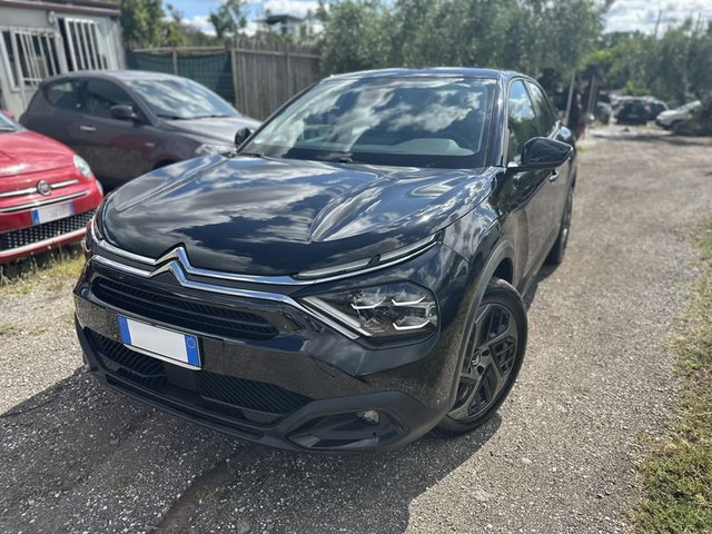 immagine non disponibile