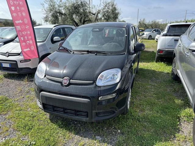 immagine non disponibile