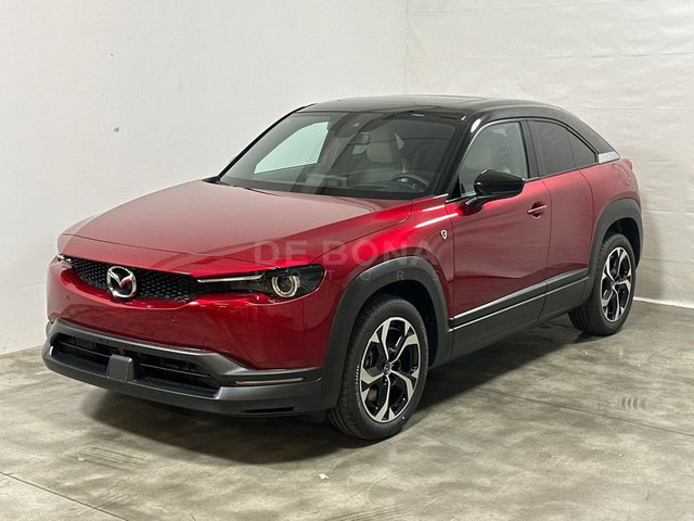 immagine non disponibile