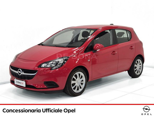 immagine non disponibile