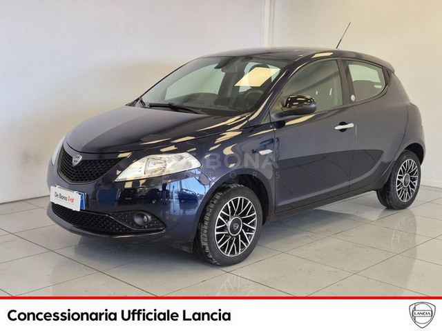 immagine non disponibile